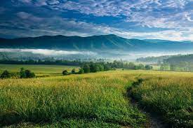 Check spelling or type a new query. Wallpaper 1920x1280 Px Clouds Landscape Mist Mountain Nature North Carolina Sunrise Trees Valley 1920x1280 Wallup 1039833 Hd Wallpapers Wallhere
