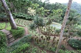 Jardin De Balata A Fort De France 97