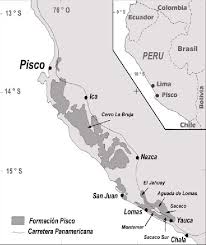 Copa del mundo clasificación, conmebol. Pdf Los Cormoranes Aves Phalacrocoracidae Del Mio Plioceno De La Formacion Pisco Peru Semantic Scholar