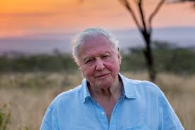 Дэвид аттенборо жизнь на нашей планете david attenborough a life on our planet (аластер фовергилл, джонатан хьюз, кит шолей). David Attenborough S Witness Statement A Life On Our Planet Impakter