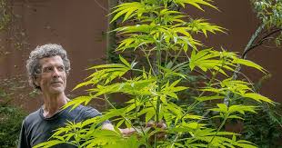 Ted Dobson of Equinox Farm - Leaf Nation