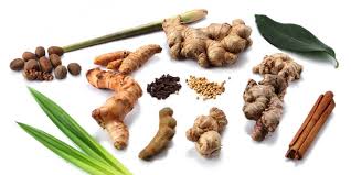 Maybe you would like to learn more about one of these? P T Natura Aromatik Nusantara Linkedin