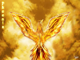 We have a massive amount of hd images that will make your computer or smartphone look absolutely fresh. Page 3 Phoenix Bird Hd Wallpapers Free Download Wallpaperbetter