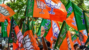Lok Sabha elections 2019: Can BJP ...