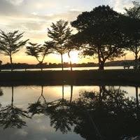 'buaya puchong' yang dahulunya menjadi tajuk besar didalam surat khabar juga berasal dari sebuah tasik semulajadi di kampung seri aman ini. Taman Tasik Kampung Sri Aman Puchong Batu Dua Belas Selangor