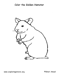 We did not find results for: Hamster Coloring Page