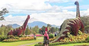 Saat mengecek tempat wisata itu, ganjar masih menjumpai adanya pengunjung yang tidak taat prokes. 5 Wisata Populer Di Puncak Yang Masih Buka Di Tengah Pandemi Covid 19