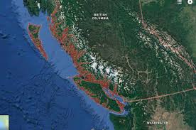 A tsunami warning was triggered in b.c. B C Tsunami Warning Cancelled After Earthquake Off Alaska Coast 980 Cjme