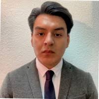 60+ "Luis Morado" profiles