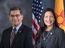 Image result for Bidens buchneri