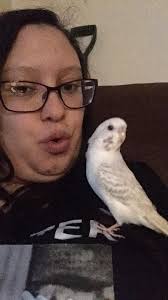 Ovoviviwhatnow?!......😂 Stumped