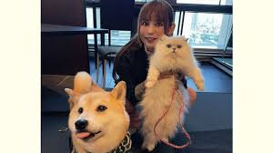 News source: Yahoo!ニュース