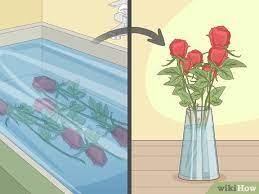 3 Ways To Revive Roses - Wikihow