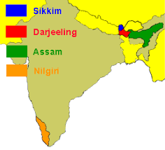 South indian states are the major producer of coffees in india with karnataka 53%, kerala 28%, tamil nadu 11% and remaining from the hilly area and good monsoon in this region makes it best place for important varieties of coffee and tea plantation. The Better Beverage Company Indian Tea