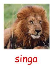 Apache singa is an apache top level project, focusing on distributed training of deep learning and singa parallelizes the training and optimizes the communication cost to improve training scalability. Cynthia Herianto Cherianto Profile Pinterest