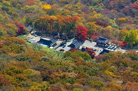 때문에 평소에 물건을 팔아주던 분들이 어려워지면. ë‚´ìž¥ì‚¬ å…§è—å¯º ì •ì