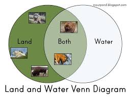 Land And Water Venn Diagram Animal Worksheets Water Animals Venn Diagram