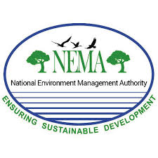 Image result for Tricalysia bagshawei