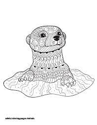 3300 x 2550 file type: Pics Owl Free New Animal Coloring Pages For Kids Free Printable Cute Otter Coloring Pages 736x952 Wallpaper Teahub Io