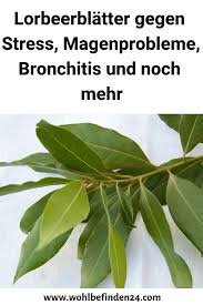 Lorbeerblatter Gegen Stress Magenprobleme Bronchitis Und Noch Mehr Heilmitel Gesundheitundwohlbe Gesundleben Lorbeerblatter Plant Leaves Health Plants