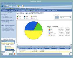 Memory Usage Chart Report