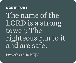 Proverbs 18 10 Nkjv In 2020 Bible Apps Nkjv Proverbs
