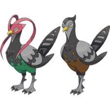 Black And White Bird Pokemon Name Unfezant Pokemon Anime
