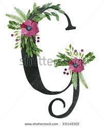 Pin On Lettering And Calligraphy