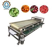 Automatic Coffee Cherries Sorter Commercial Olive Size Fruit Grading Sorting Machine