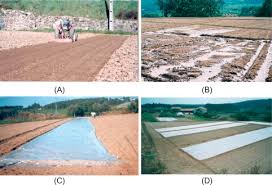 Farmers sometimes forget they have to plant what the area's pest and disease management. Pest Control In Organic Farming Sciencedirect