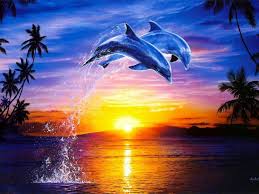 Sunsets With Dolphins Wallpapers Wallpaper Cave