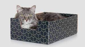 Cat in a cardboard box part 2. This Stylish Cardboard Box Is Designed To Be Your Cat S New Favorite Hideout Mental Floss