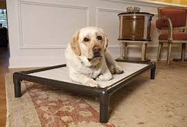 5 really indestructible dog beds the kong dog bed kuranda dog beds indestructable dog bed durable dog bed