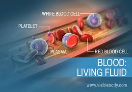 Plasma Proteins And Their Functions For Nursing .Pptx