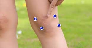 Check spelling or type a new query. 88 Arti Kedutan Lutut Kanan Menurut Primbon Jam Dan Islam Lengkap Kedutan Tekukan Lutut