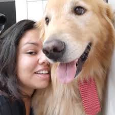 10 melhores dog walkers para Piracicaba