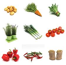 Dosch Design Dosch 3d Vegetables All 3d model plant free download from 3dzip.org. dosch design dosch 3d vegetables