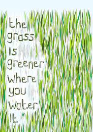 The grass is always greener where you water it. Daily Inspiration The Grass Is Greener Where You Water It Ifb