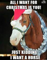 Pin By Anastasia Papadopoyloy On Nl Funny Horse Memes Funny Horses Horse Jokes