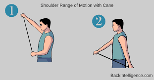 Image result for Shoulder Range of Motion Exercises