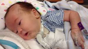 A dying boy, a desperate family, a floppy dog. Is there hope for a cure?