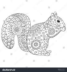 Doodle Stylized Squirrel Sketch For Book Poster Print Or Tattoo Hand Drawn Vector Illus Squirrel Coloring Page Hand Drawn Vector Illustrations Sketch Book