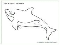 Whales Printable Templates Coloring Pages Firstpalette Com Whale Coloring Pages Coloring Pages Whale