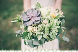 Check spelling or type a new query. 11 Adorable Mini Succulents Uses Growing Tips Proflowers Blog