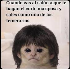 Cesar Guido (@OSONIKLE) • Facebook