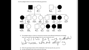 Pedigree Practice Quiz