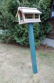 Amazon com birds choice mounting brackets for 4x4 post mount. The Bird Feeder Coon Undrum Mynature Apps