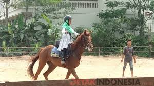 As is kuda in english? Wisata Berkuda Memanah Digemari Anak Anak Di Pekanbaru