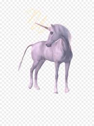 Freie kommerzielle nutzung keine namensnennung top qualität Einhorn Clipart Zeichnung Tragbare Netzwerkgrafik Einhorn Png Herunterladen 1024 1365 Kostenlos Transparent Einhorn Png Herunterladen