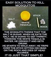 Pin On Funny Stuff
